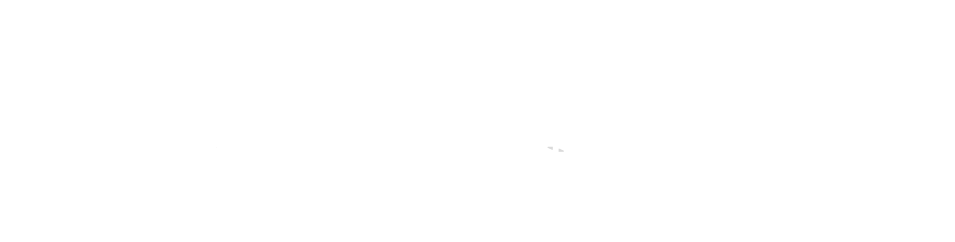 Gold Sponsors